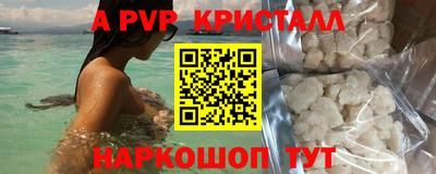 спиды Заводоуковск