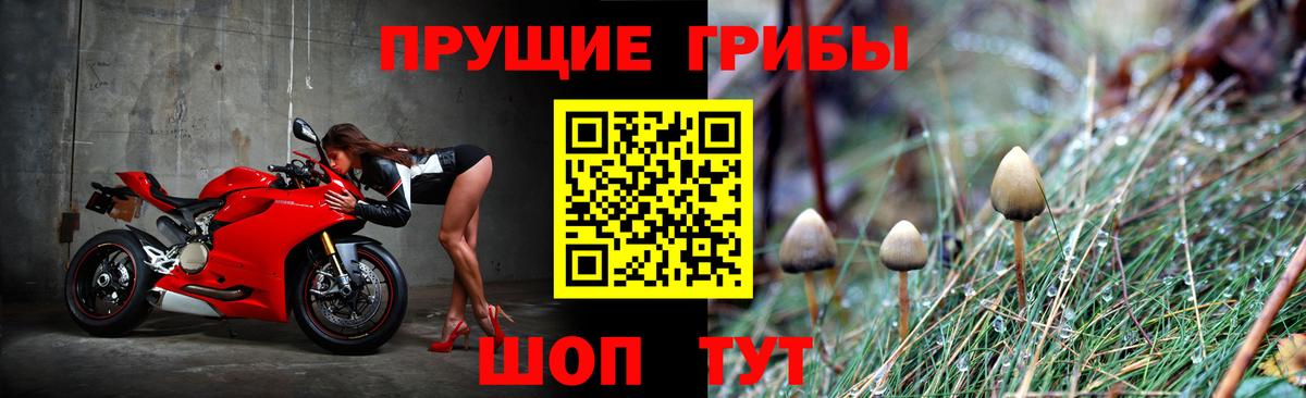 Псилоцибиновые грибы мухоморы  Вход с VPN  Лыткарино  Псилоцибиновые грибы мухоморы 