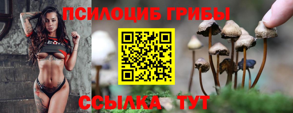 Псилоцибиновые грибы мицелий Лыткарино